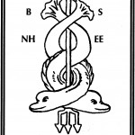 logo_CEBNHSEE
